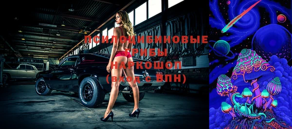 spice Заводоуковск