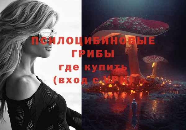 бошки Заволжье