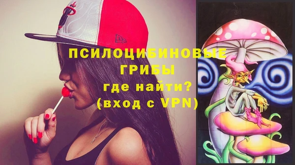 spice Заводоуковск