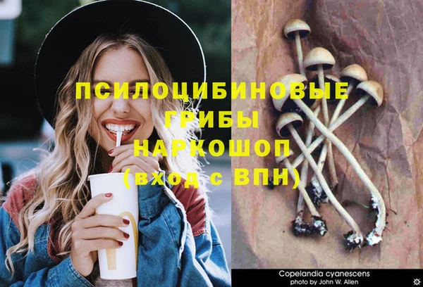 бошки Заволжье